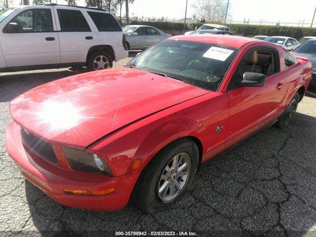 2009 FORD MUSTANG VIN: 1ZVHT80N795122291