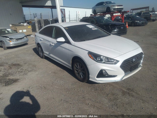 2019 HYUNDAI SONATA SE VIN: 5NPE24AF7KH787366