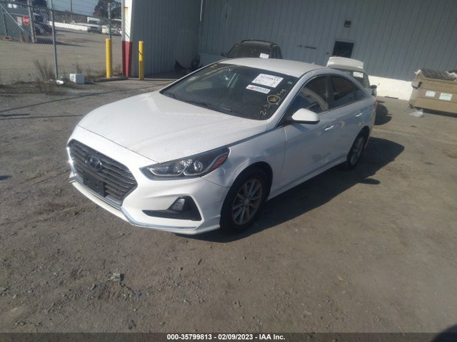 2019 HYUNDAI SONATA SE VIN: 5NPE24AF7KH787366