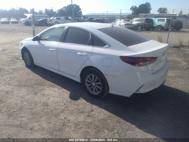2019 HYUNDAI SONATA SE VIN: 5NPE24AF7KH787366