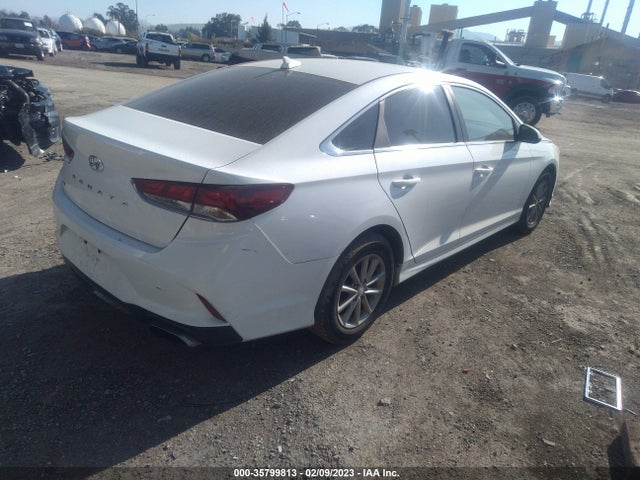 2019 HYUNDAI SONATA SE VIN: 5NPE24AF7KH787366