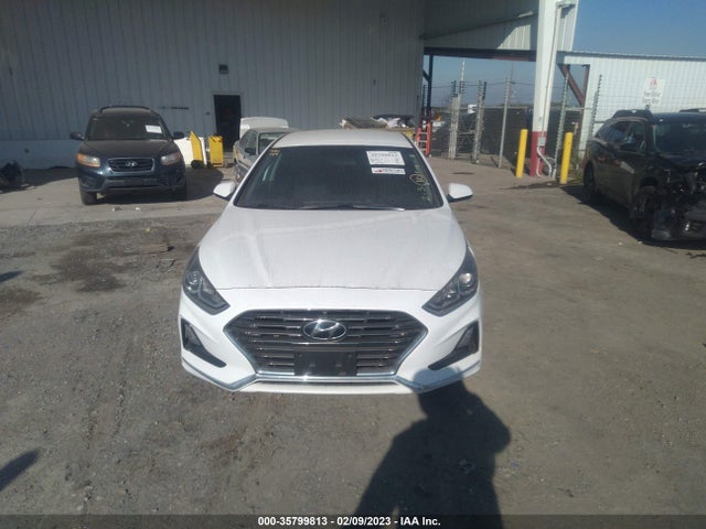 2019 HYUNDAI SONATA SE VIN: 5NPE24AF7KH787366