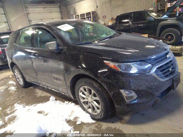Chevrolet EQUINOX LS 2019 3GNAXHEV5KL112440 Image 1
