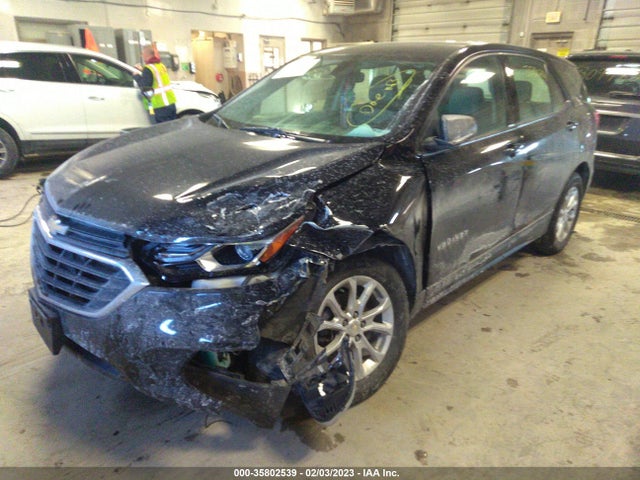 Chevrolet EQUINOX LS 2019 3GNAXHEV5KL112440 Image 2