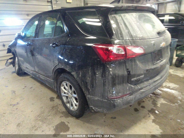 Chevrolet EQUINOX LS 2019 3GNAXHEV5KL112440 Image 4