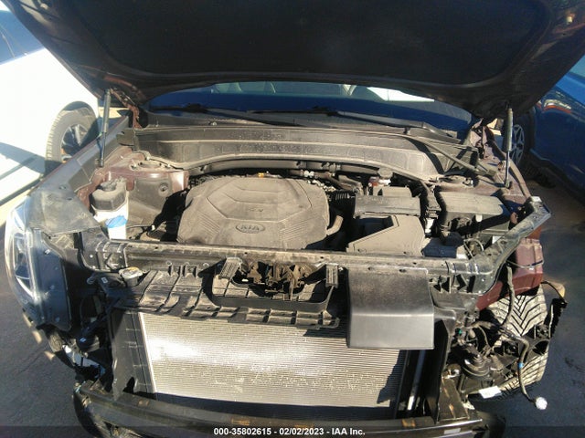 2020 Kia Telluride, VIN: 5XYP64HC6LG028211