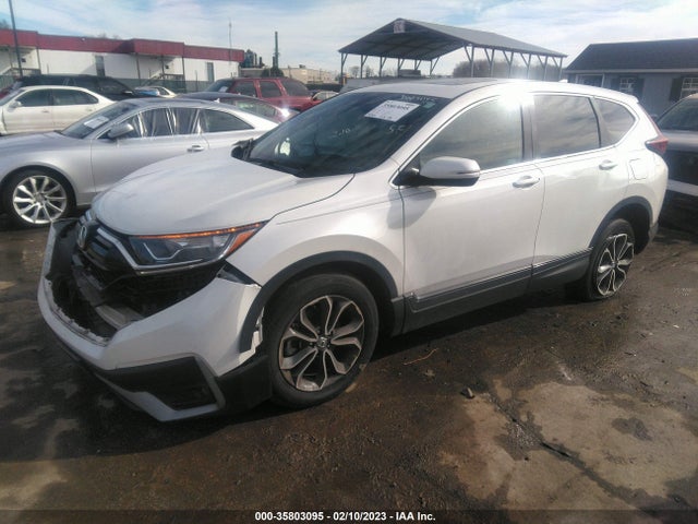 Honda CR-V EX 2020 5J6RW2H59LA001898 Image 2