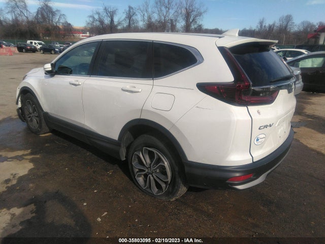 Honda CR-V EX 2020 5J6RW2H59LA001898 Image 3