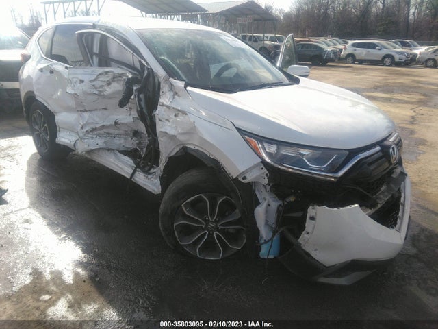 Honda CR-V EX 2020 5J6RW2H59LA001898 Image 6