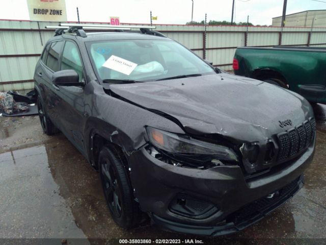 1C4PJLLB8MD113381 auction archive image