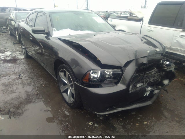 Dodge Charger Sxt 100th Anniversary 2014 2C3CDXHG4EH330131 zdjęcie główne
