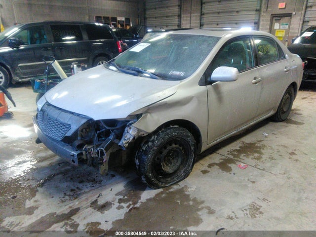 2010 TOYOTA COROLLA VIN: 2T1BU4EE4AC485209