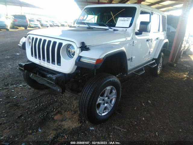 2020 Jeep Wrangler, VIN: 1C4HJXDN2LW329413