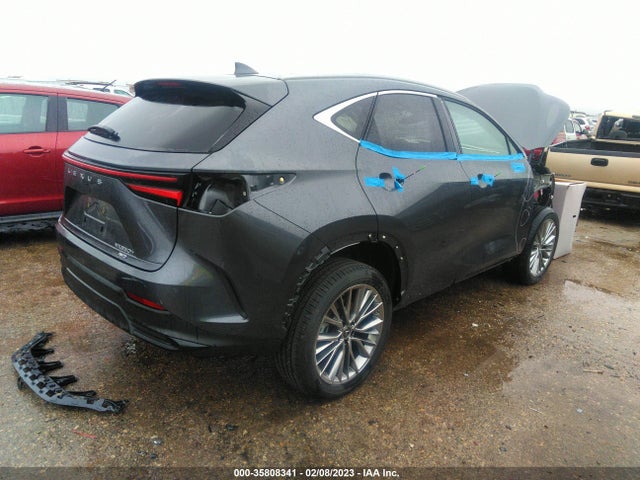 2022 Lexus NX, VIN: JTJHKCEZ1N2004945