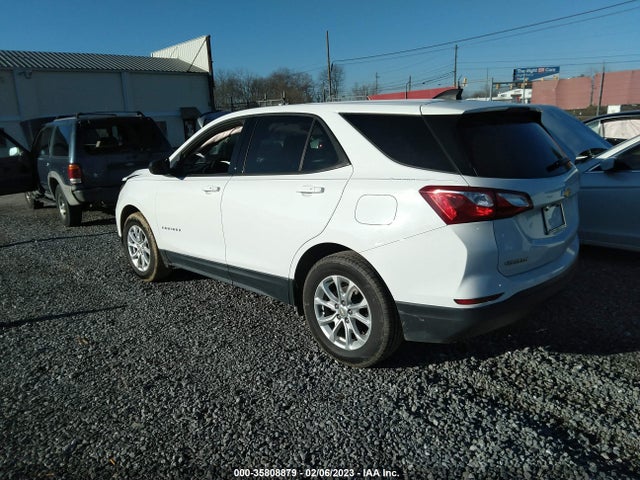 Chevrolet EQUINOX LS 2019 2GNAXHEV2K6218252 Image 3
