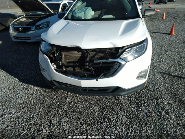 Chevrolet EQUINOX LS 2019 2GNAXHEV2K6218252 Image 6