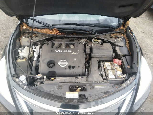 2013 NISSAN ALTIMA 3.5 SV VIN: 1N4BL3AP4DN441187