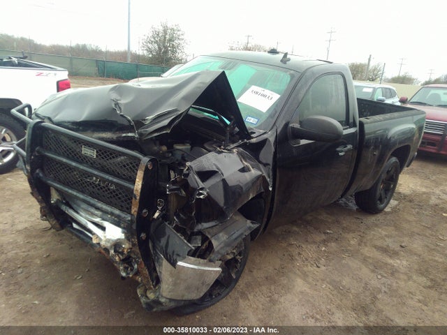 2009 GMC SIERRA 1500 WORK TRUCK VIN: 1GTEC14X49Z181333