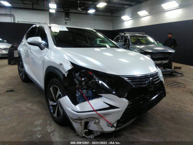2020 Lexus NX, VIN: JTJGARDZ1L5008315