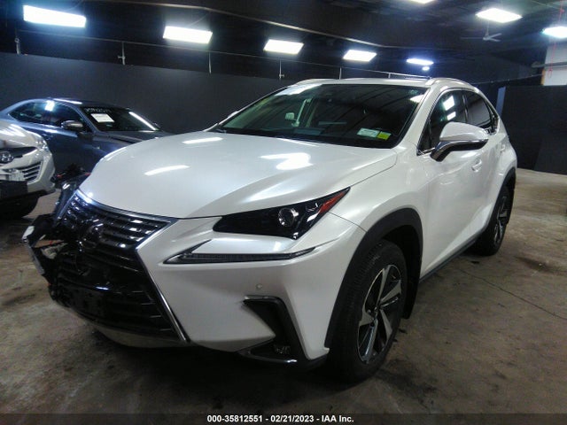 2020 Lexus NX, VIN: JTJGARDZ1L5008315