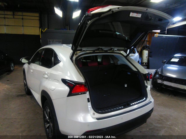 2020 Lexus NX, VIN: JTJGARDZ1L5008315