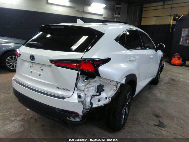 2020 Lexus NX, VIN: JTJGARDZ1L5008315