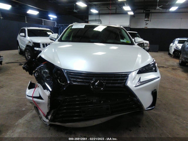 2020 Lexus NX, VIN: JTJGARDZ1L5008315