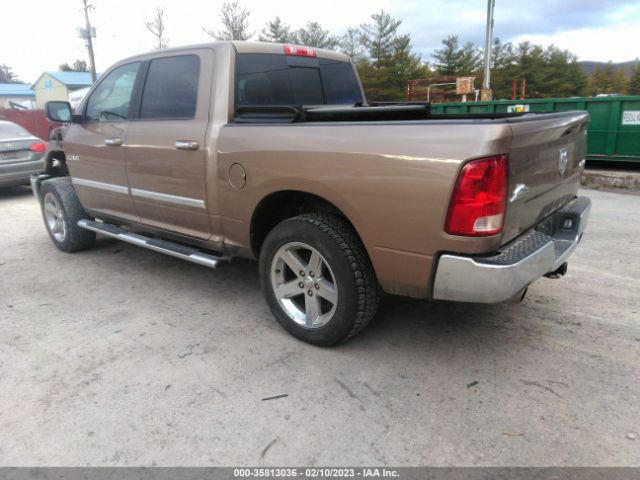 2010 DODGE RAM 1500 SLT VIN: 1D7RV1CT2AS216674