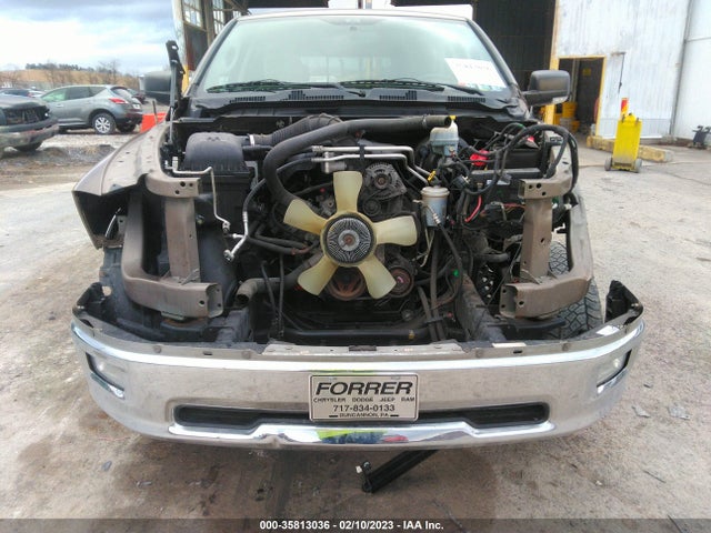 2010 DODGE RAM 1500 SLT VIN: 1D7RV1CT2AS216674