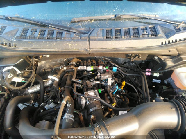2020 Ford F-150, VIN: 1FTEW1EP7LFC37795