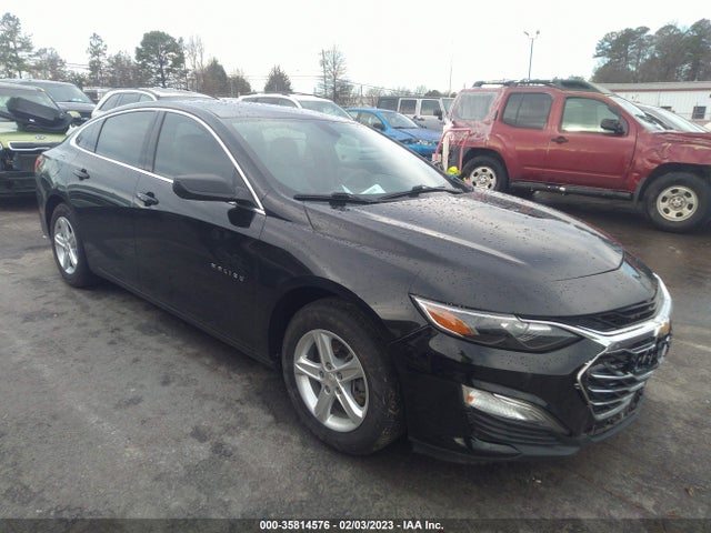 2019 1G1ZB5ST6KF178896 main image