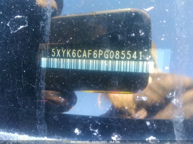 5XYK6CAF6PG085541 KIA Sportage X-line
