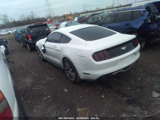 2015 FORD MUSTANG ECOBOOST VIN: 1FA6P8TH8F5407538
