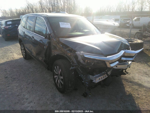 2019 HONDA PILOT EX-L VIN: 5FNYF6H58KB078261