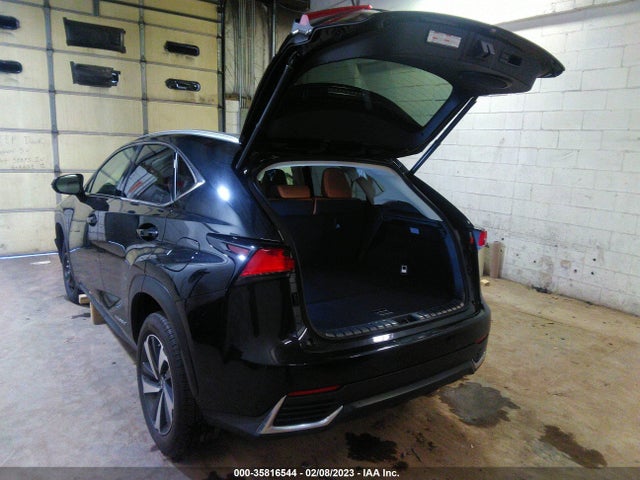 2020 Lexus NX, VIN: JTJGJRDZ8L5006996