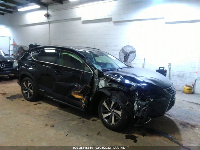 2020 Lexus NX, VIN: JTJGJRDZ8L5006996