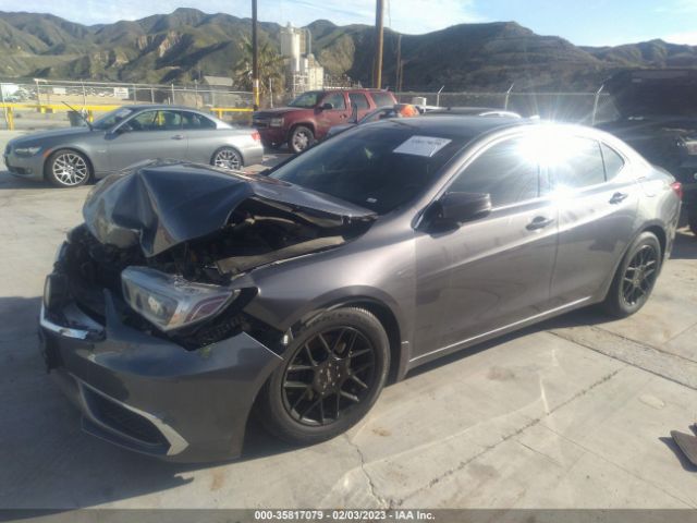 19UUB1F31KA007752 Acura TLX