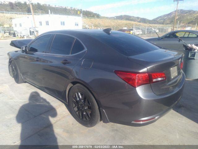 19UUB1F31KA007752 Acura TLX