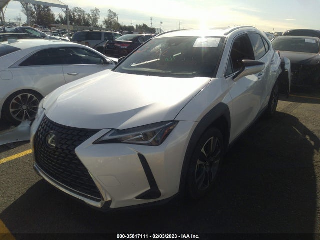 2019 Lexus UX, VIN: JTHU9JBH4K2007782