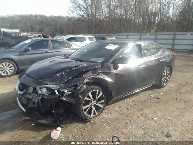 2016 Nissan Maxima, VIN: 1N4AA6AP5GC392567