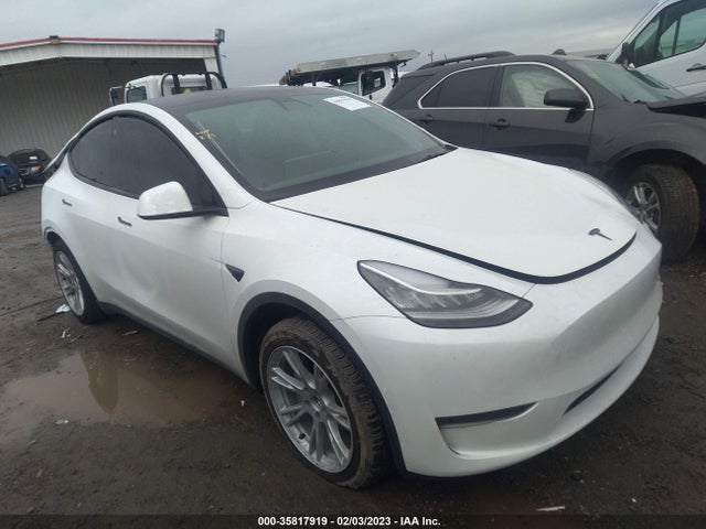 2022 Tesla Model Y, VIN: 7SAYGDEE6NF356698