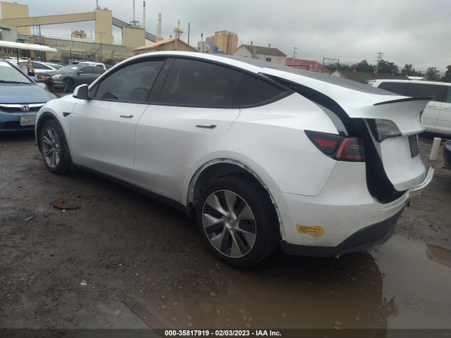 2022 Tesla Model Y, VIN: 7SAYGDEE6NF356698