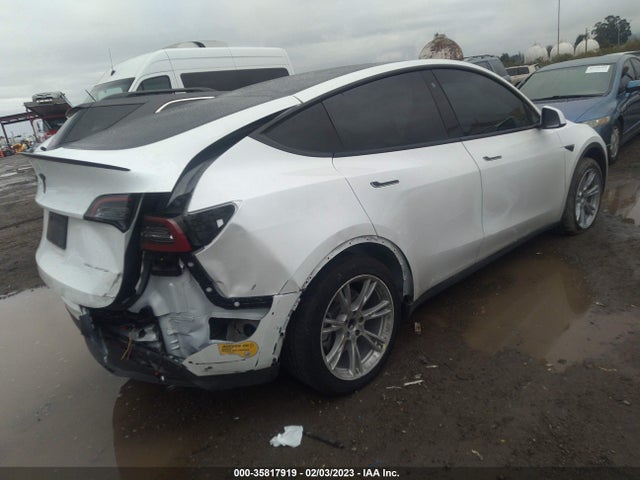 2022 Tesla Model Y, VIN: 7SAYGDEE6NF356698