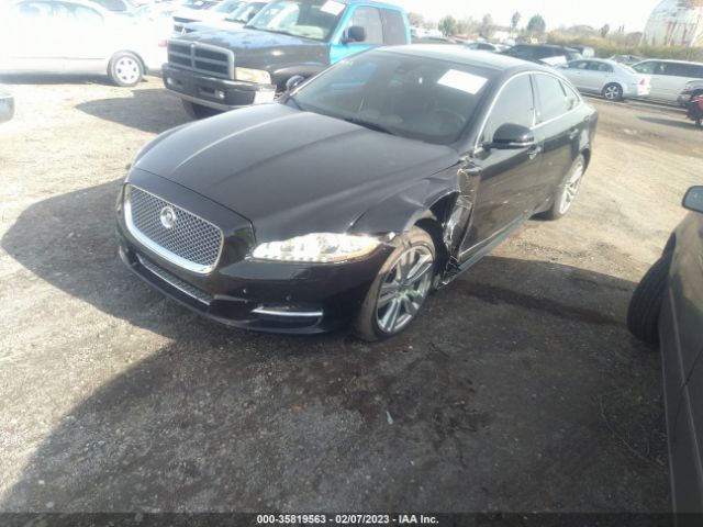 SAJWA1CB1BLV10371 Jaguar XJ