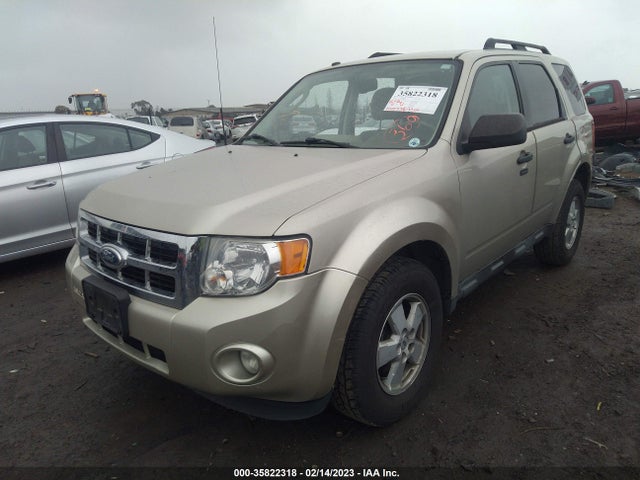 2011 FORD ESCAPE XLT VIN: 1FMCU0D75BKC52001