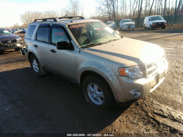 2011 FORD ESCAPE XLT VIN: 1FMCU0D71BKB17453