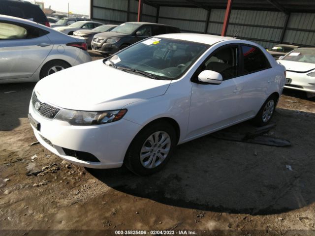 KNAFU4A24C5493126 KIA FORTE EX