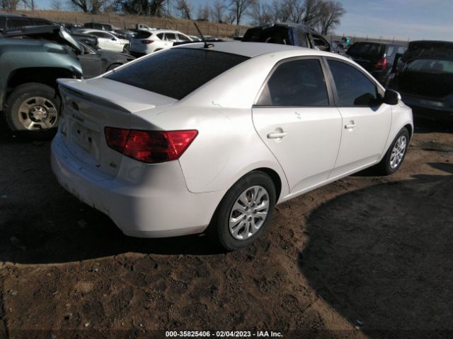 KNAFU4A24C5493126 KIA FORTE EX