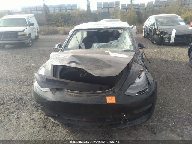 Tesla Model 3 Standard Range Plus 2021 5YJ3E1EA5MF067044 Image 6