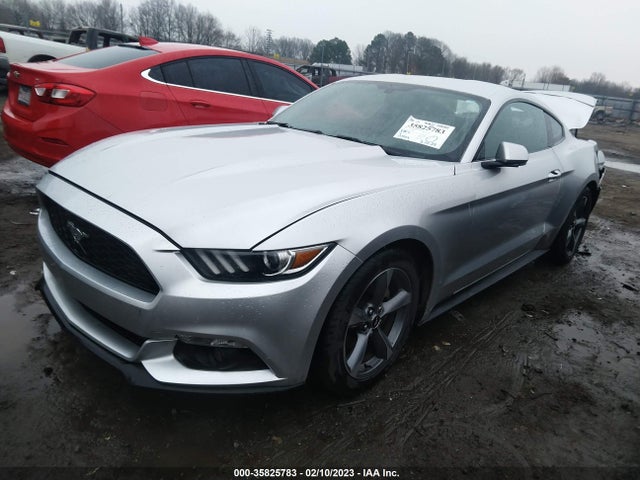 2015 Ford Fastback, VIN: 1FA6P8AM1F5404724